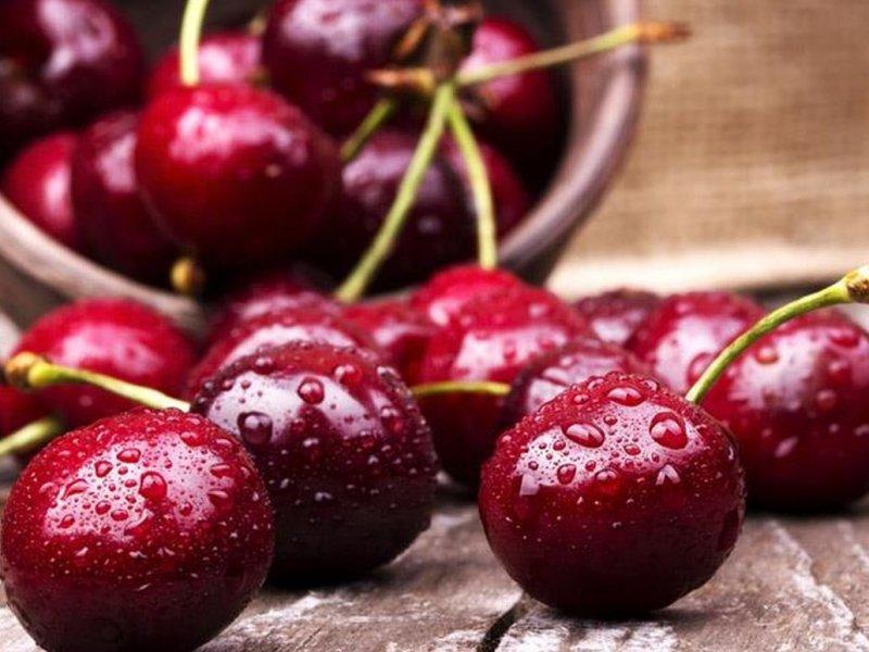 Вишня купить саженцы из питомника в Клине
