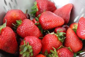 Клубника "САНДРА" (7шт.)